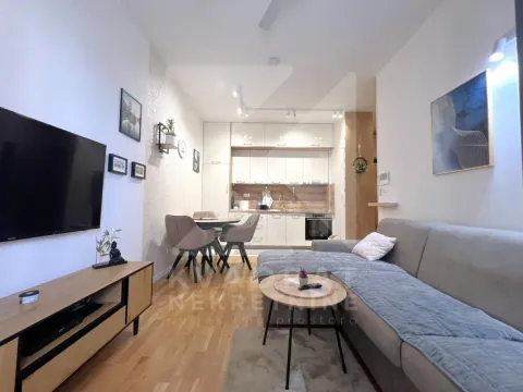 Izdavanje, jednosoban stan, 44m², Tološi, Podgorica - image 2