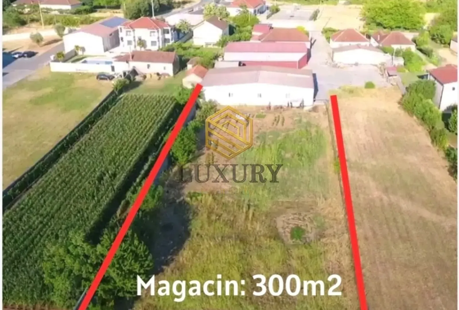 Prodaja, plac, 3000m², Zeta, Podgorica