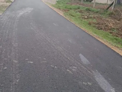 Sale, land lot, 500m², Veternik, Novi Sad Sve Podlokacije - image 6