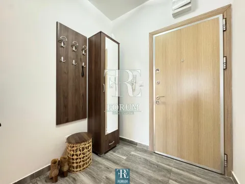 Izdavanje, jednosoban stan, 50m², Stari Aerodrom, Podgorica - image 7