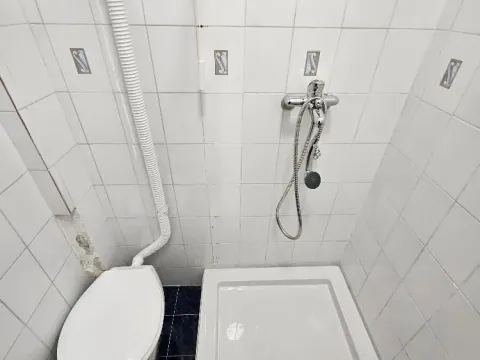 Rent, one bedroom apartment, 30m², Vračar Hram, Vračar Sve Podlokacije - image 11