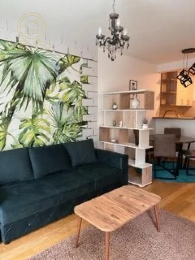 Izdavanje, jednosoban stan, 45m², Zemun Sve Podlokacije, Beograd