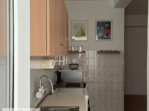 Izdavanje, jednosoban stan, 53m², Obrenovac, Beograd - image 12