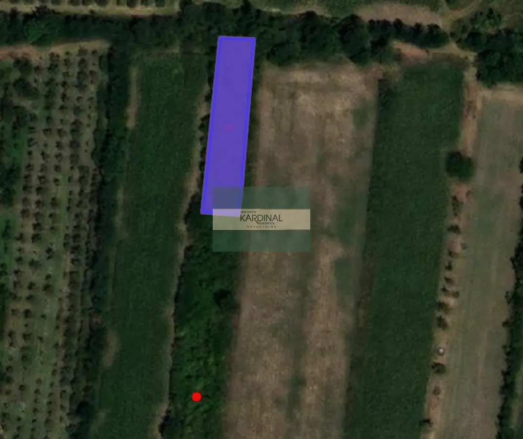 Prodaja, plac, 8199m², Čumić, Kragujevac