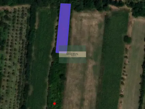 Prodaja, plac, 8199m², Kragujevac, Srbija - image 3