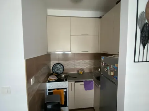 Prodaja, dvosoban stan, 49m², Ljubović, Podgorica - image 3