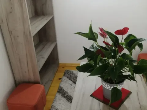 Sale, one bedroom apartment, 28m², Sutomore, Bar - image 16