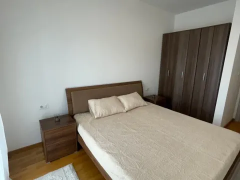 Izdavanje, stan, 50m², Stari Aerodrom, Podgorica - image 3