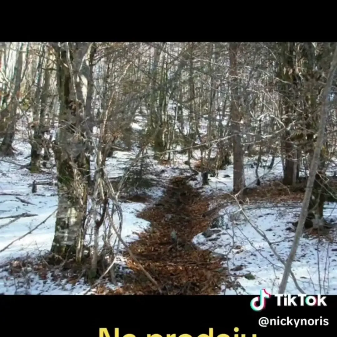 Prodaja, plac, 100000m², Sela, Kolašin