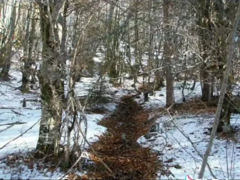 Prodaja, plac, 100000m², Sela, Kolašin - image 10