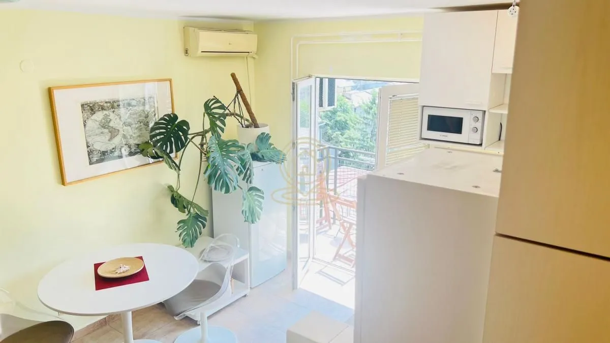 Izdavanje, dvosoban stan, 66m², Slavija, Vračar Sve Podlokacije