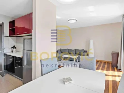 Izdavanje, dvosoban stan, 64m², Savski Venac, Beograd - image 2