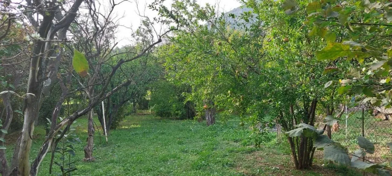 Prodaja, kuća, 500m², Bar, Crna Gora
