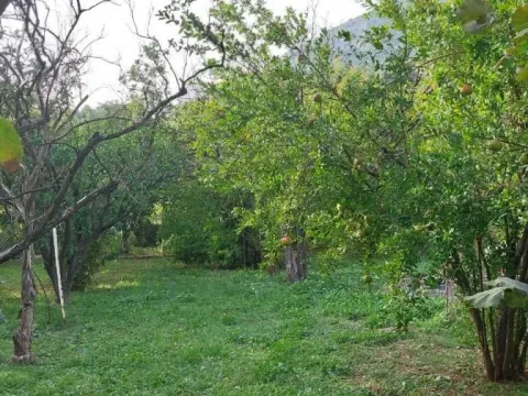 Sale, house, 500m², Bar, Crna Gora - image 7