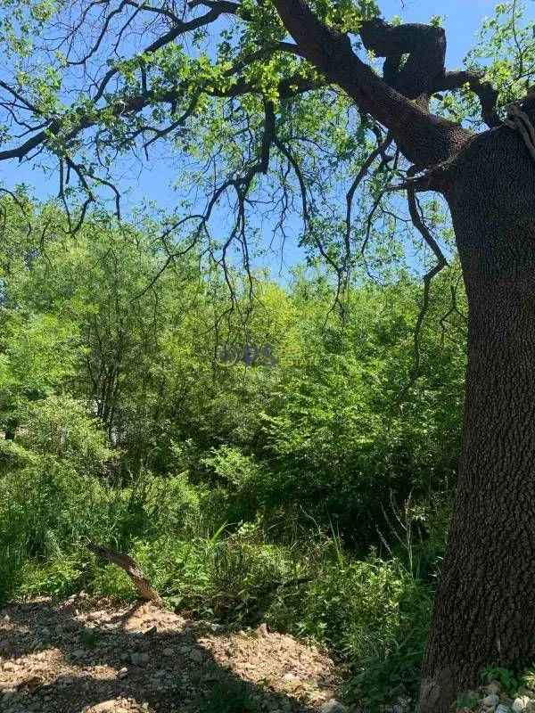 Prodaja, plac, 1150m², Buljarica, Budva