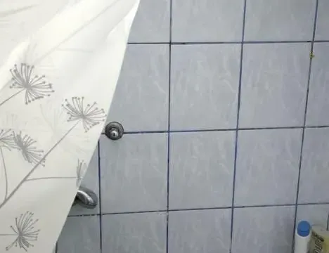 Rent, two bedroom apartment, 100m², Veternik, Novi Sad Sve Podlokacije - image 18