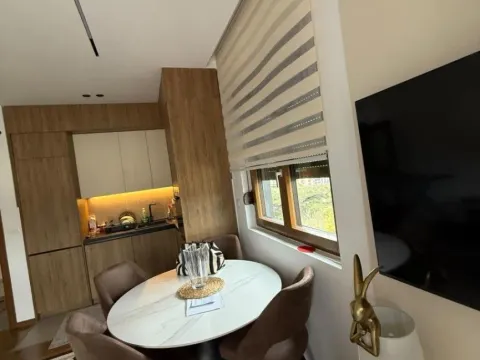 Izdavanje, jednosoban stan, 49m², Vezirov Most, Podgorica - image 4