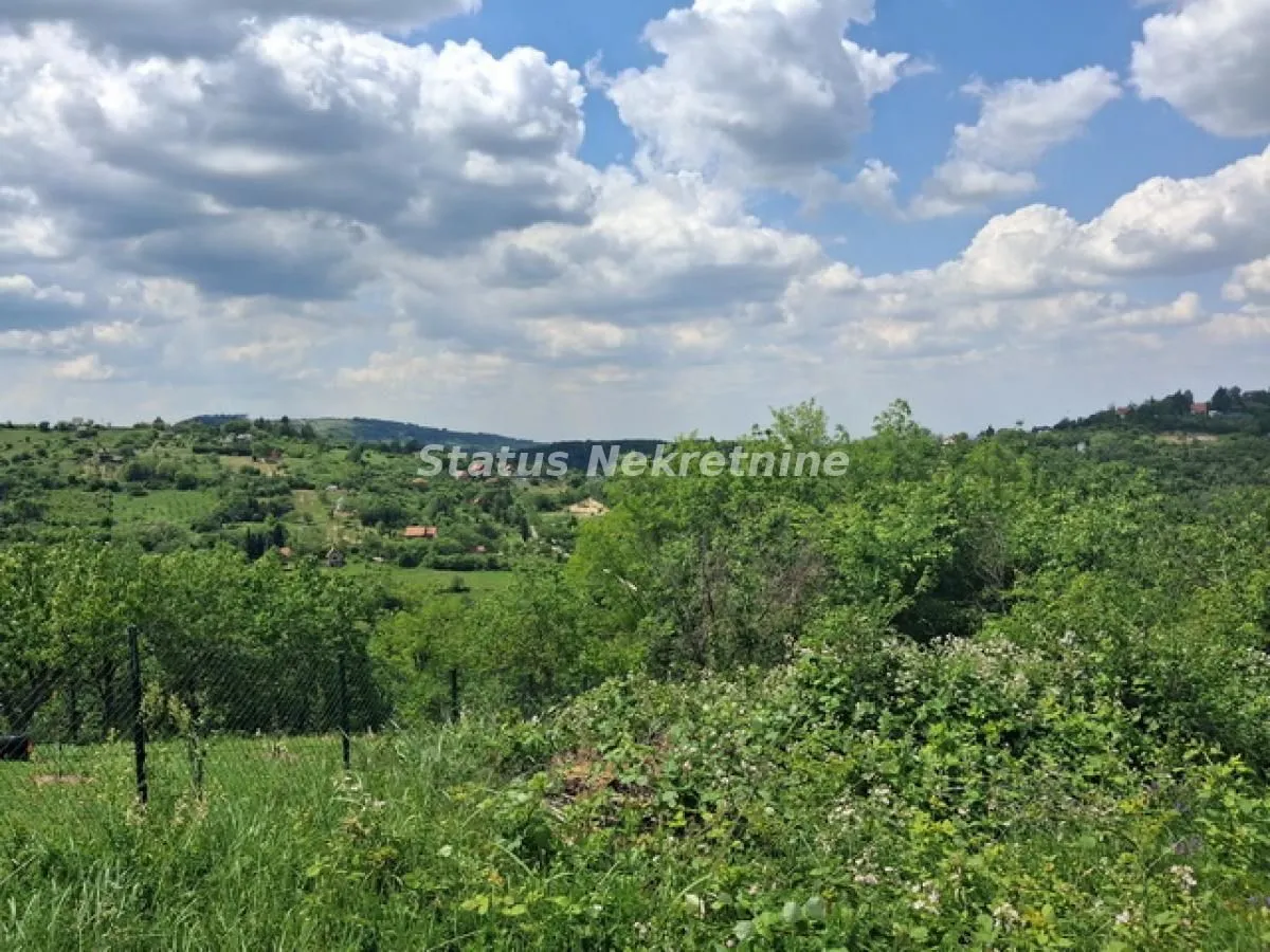 Prodaja, plac, 5170m², Sremska Kamenica, Petrovaradin