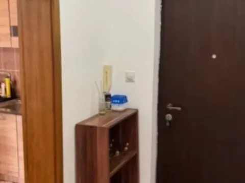 Izdavanje, jednosoban stan, 49m², Stari Aerodrom, Podgorica - image 9