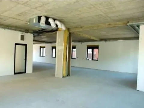 Izdavanje, poslovni prostor, 214m², Altina, Beograd - image 4