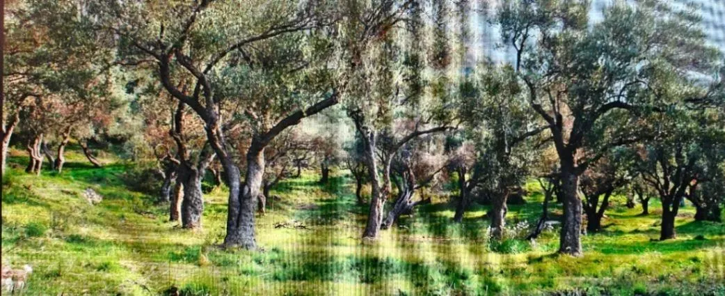 Prodaja, plac, 1208m², Budva, Crna Gora