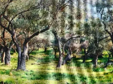 Prodaja, plac, 1208m², Budva, Crna Gora - image 3