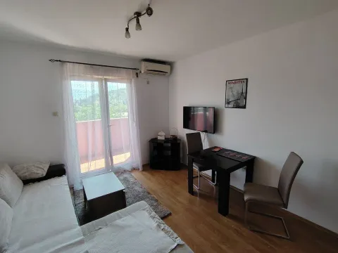 Rent, studio apartment, 28m², Zabjelo, Podgorica - image 2