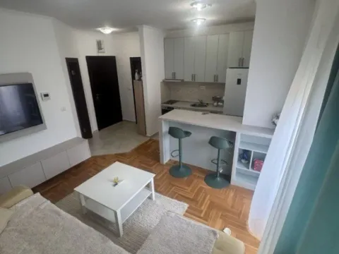 Izdavanje, jednosoban stan, 40m², Golubovina, Budva - image 5