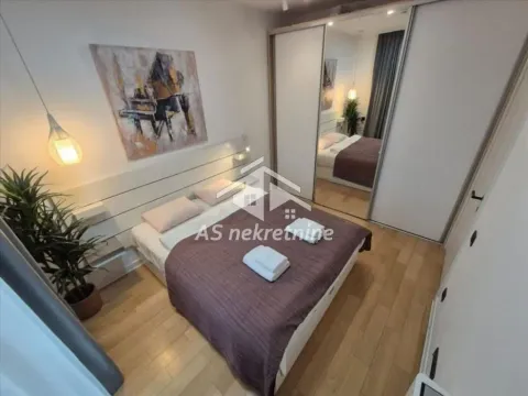 Izdavanje, dvosoban stan, 50m², Novi Beograd Blok 67, Novi Beograd Sve Podlokacije - image 16