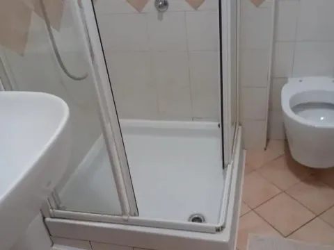 Izdavanje, garsonjera, 30m², Adamovićevo Naselje, Novi Sad Sve Podlokacije - image 7