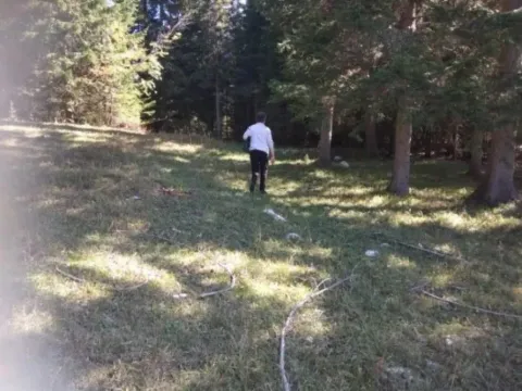 Prodaja, plac, 17803m², Podgora, Žabljak - image 8