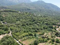 Sale, land lot, 3000m², Radanovići, Kotor - image 19