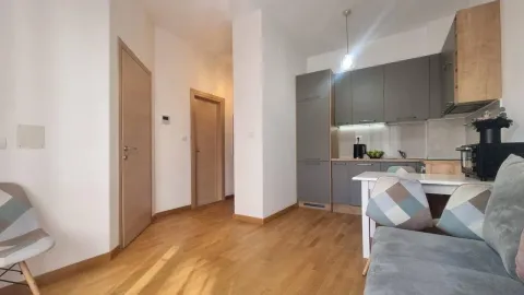 Dnevni boravak sa kuhinjom i trpezarijom u modernom stanu. - image 7
