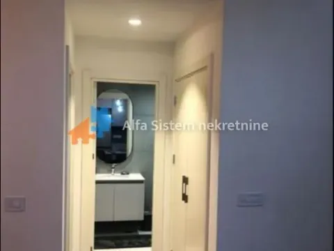 Izdavanje, dvosoban stan, 54m², Savski Venac, Beograd - image 13