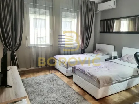 Izdavanje, garsonjera, 25m², Južni Bulevar, Vračar Sve Podlokacije - image 2
