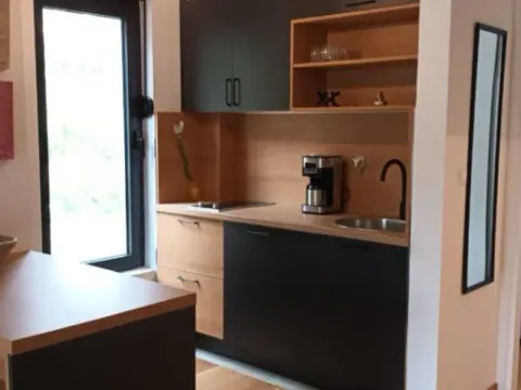 Izdavanje, jednosoban stan, 50m², Ivanovići, Budva - image 4