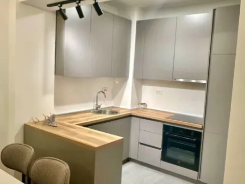 Izdavanje, jednosoban stan, 57m², Momišići, Podgorica - image 7