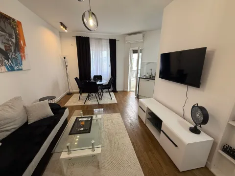 Izdavanje, stan, 45m², Zagorič, Podgorica - image 2