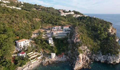 Pogled iz vazduha na kompleks vila na obali mora okružen zelenilom. - image 3