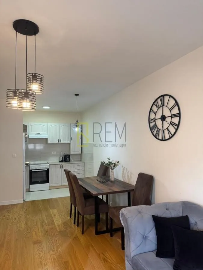 Rent, one bedroom apartment, 49m², Central Point, Podgorica