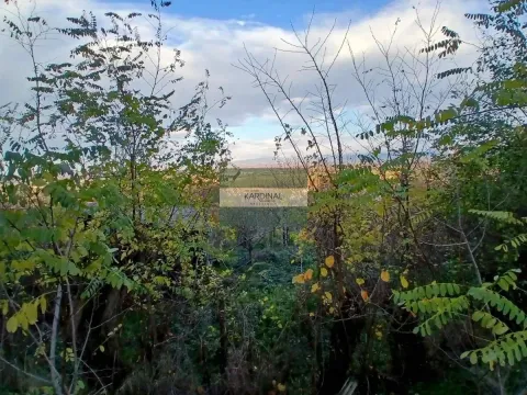 Prodaja, plac, 92300m², Đurđevo brdo, Jagodina - image 9