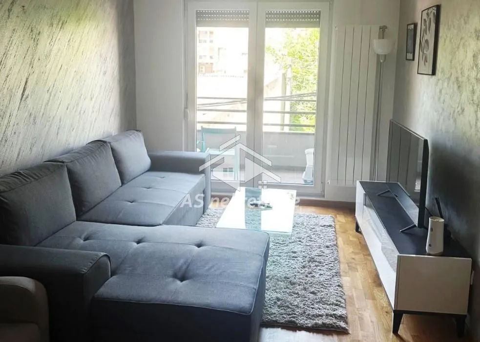 Izdavanje, dvosoban stan, 54m², Južni Bulevar, Vračar Sve Podlokacije