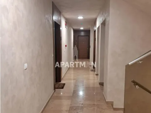 Sale, two bedroom apartment, 49m², Kluz, Zvezdara Sve Podlokacije - image 12