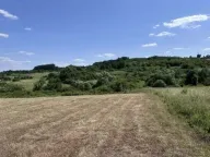 Prodaja, plac, 11600m², Meljak, Barajevo - image 7