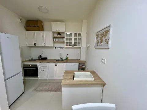 Izdavanje, jednosoban stan, 47m², City Kvart, Podgorica - image 5
