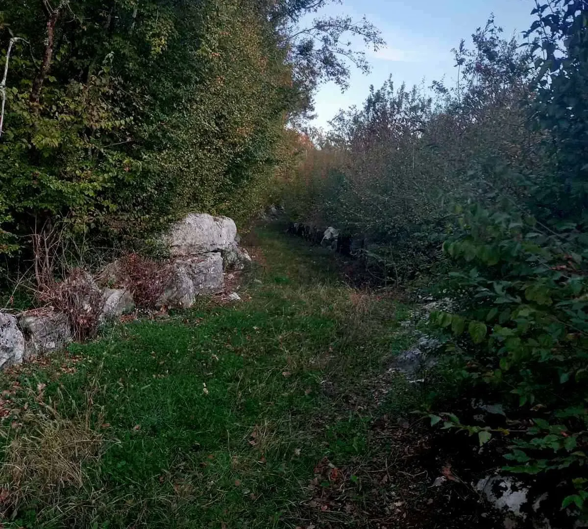 Prodaja, plac, 2200m², Cetinje, Crna Gora