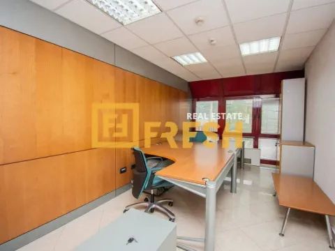 Izdavanje, poslovni prostor, 412m², Preko Morače, Podgorica - image 6