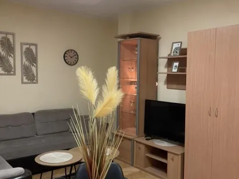 Rent, one bedroom apartment, 37m², Nova Detelinara, Novi Sad Sve Podlokacije - image 6