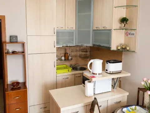 Prodaja, jednosoban stan, 40m², Tuški Put, Podgorica - image 3