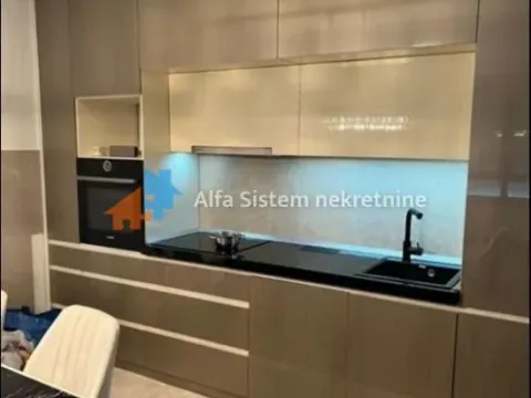 Izdavanje, dvosoban stan, 58m², Novi Beograd Blok 65, Novi Beograd Sve Podlokacije - image 16